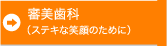 審美歯科（ステキな美顔のために）